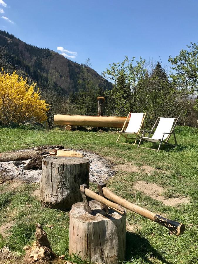 Charmante Gaestewohnung In Altem Bauernhaus In Alpiner Alleinlage Stanz Im Murztal 外观 照片