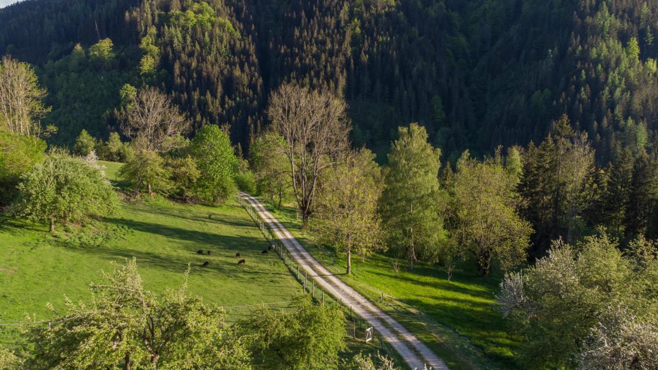 Charmante Gaestewohnung In Altem Bauernhaus In Alpiner Alleinlage Stanz Im Murztal 外观 照片