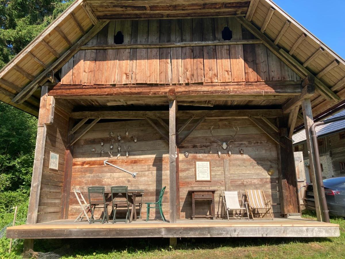 Charmante Gaestewohnung In Altem Bauernhaus In Alpiner Alleinlage Stanz Im Murztal 外观 照片