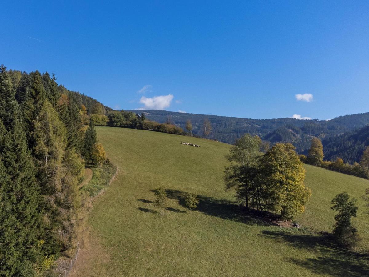 Charmante Gaestewohnung In Altem Bauernhaus In Alpiner Alleinlage Stanz Im Murztal 外观 照片